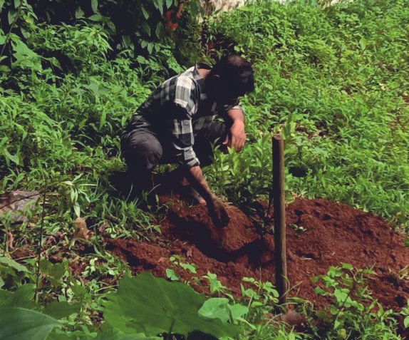 Environmental Conservation and Tree Plantation